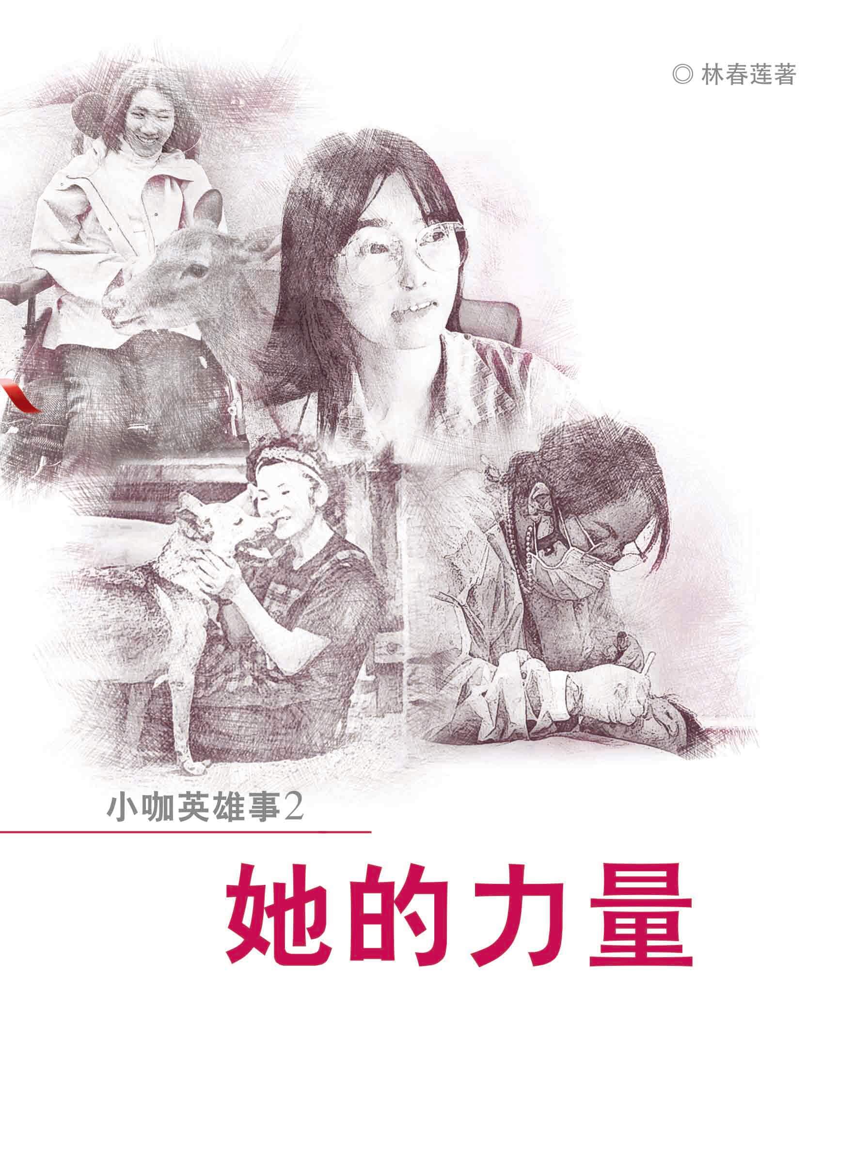 小咖英雄事2：她的力量