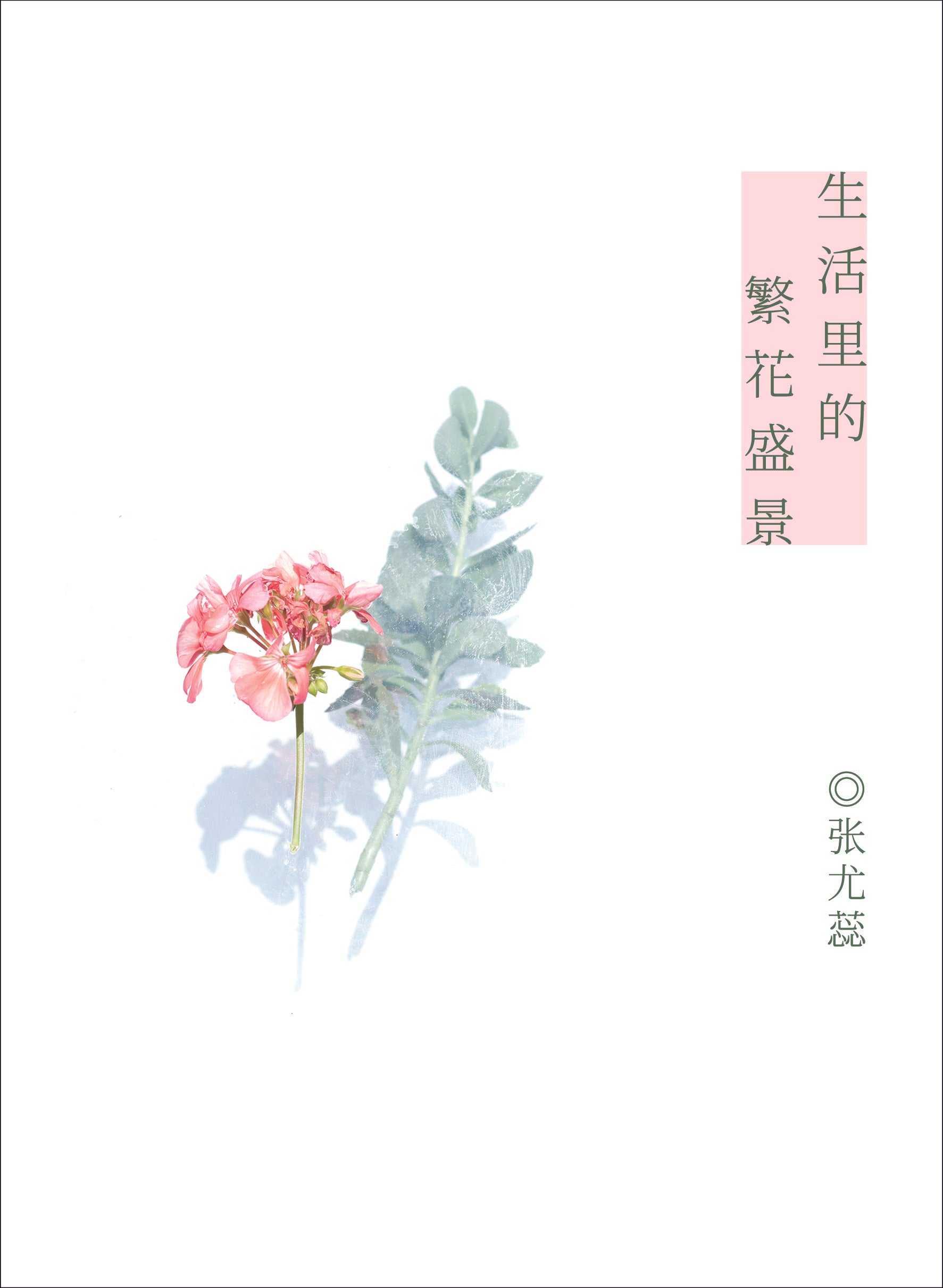 生活里的繁花盛景