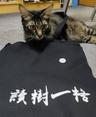 读树一格帆布包