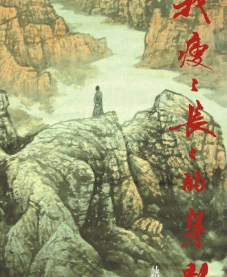 【绝版/瑕疵书】我瘦瘦长长的身影