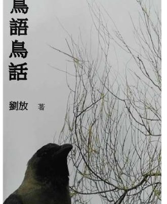 鸟语鸟话