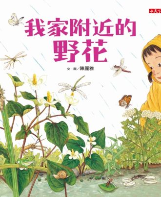 我家附近的野花