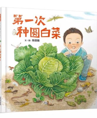 第一次种圆白菜