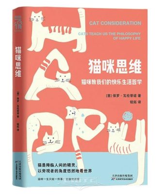 猫咪思维