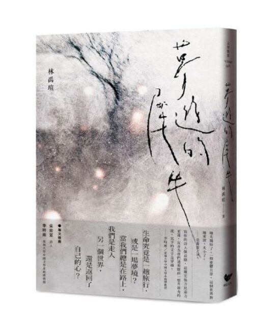 夢遊的犀牛
