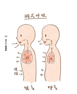 JinV 黄凡朔 胸式呼吸