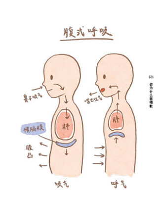 JinV 黄凡朔 腹式呼吸