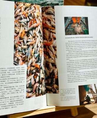 WhatsApp Image 2025-11-15 at 11.32.41_535e4d77