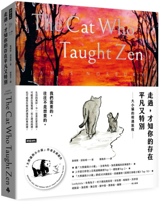 走過，才知你的存在平凡又特別：大小貓的相遇旅程